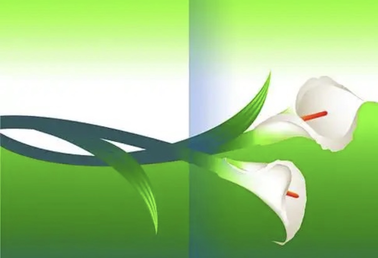 政策与技术双轮驱动,农村污水治理市场迎来“黄金期”